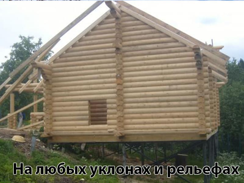 ���� �� �������� �����